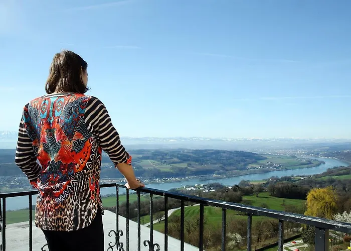 Rose 3* Maria Taferl